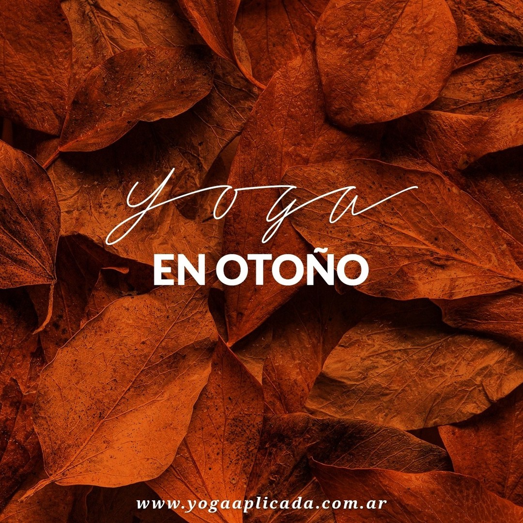 yoga & wellness content strategy