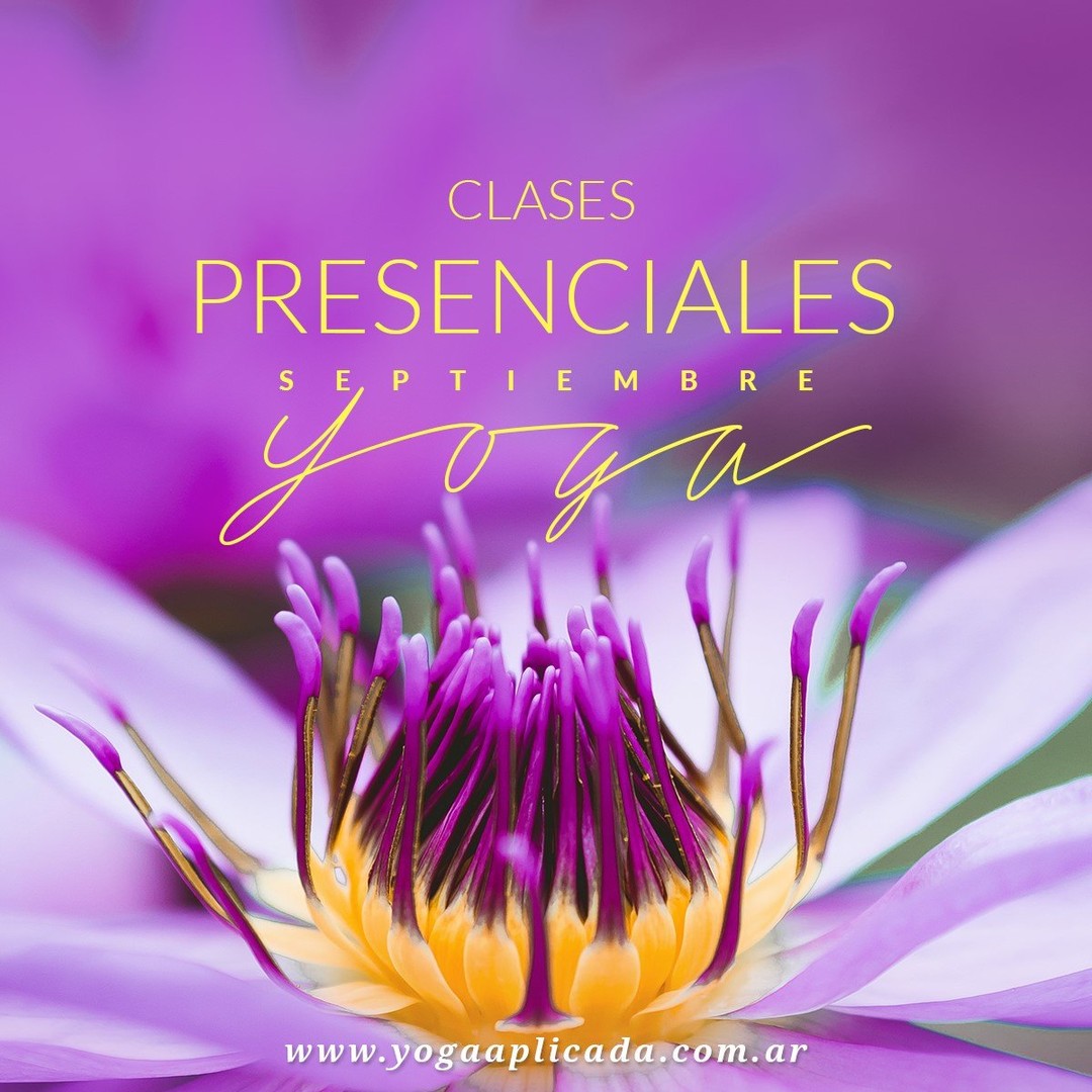 yoga & wellness content strategy