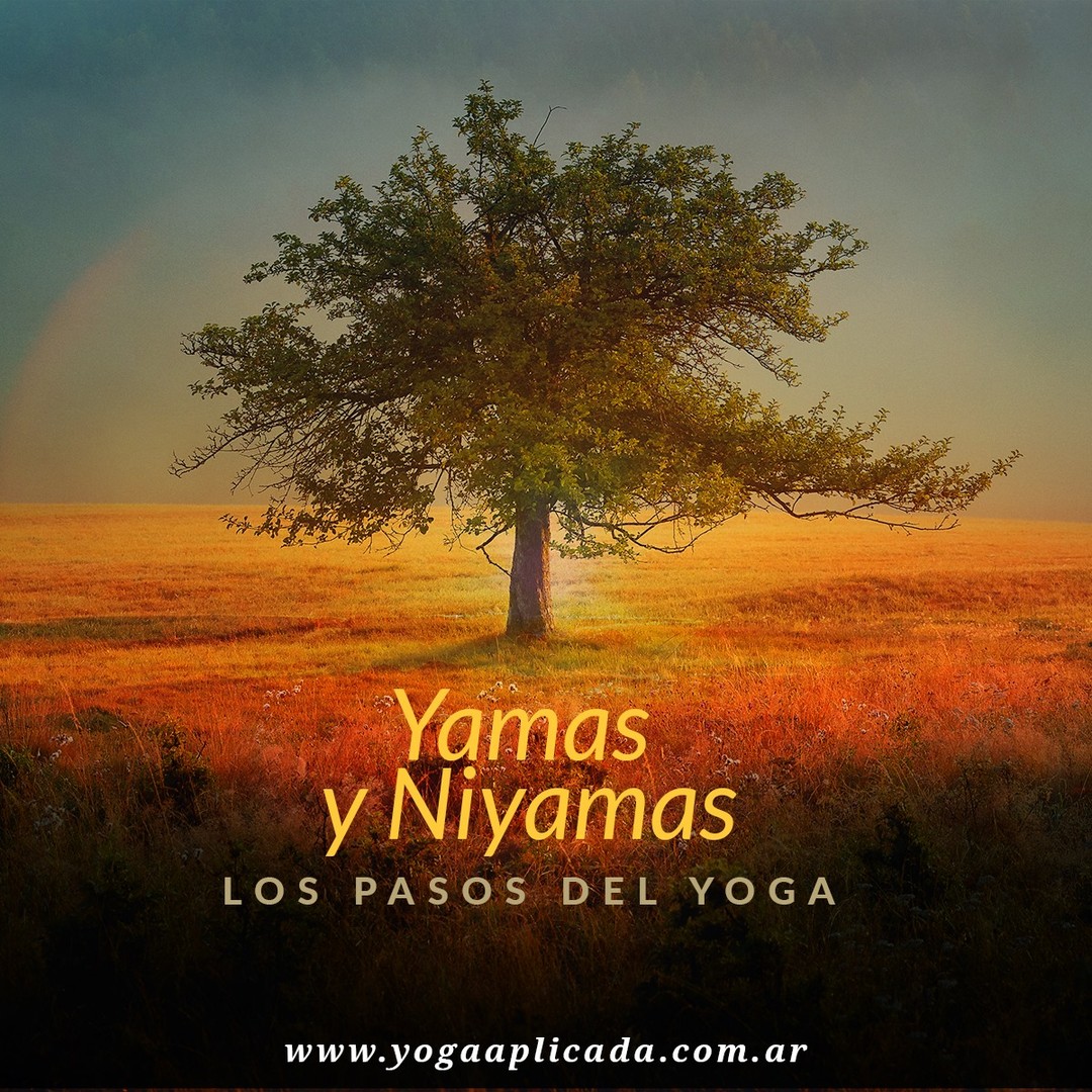 yoga & wellness content strategy