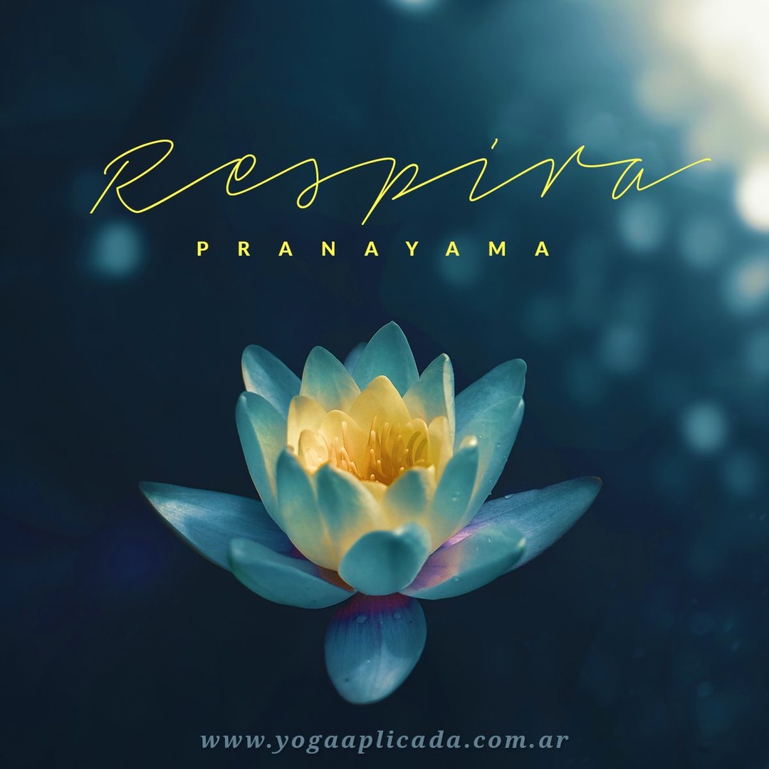 yoga & wellness content strategy