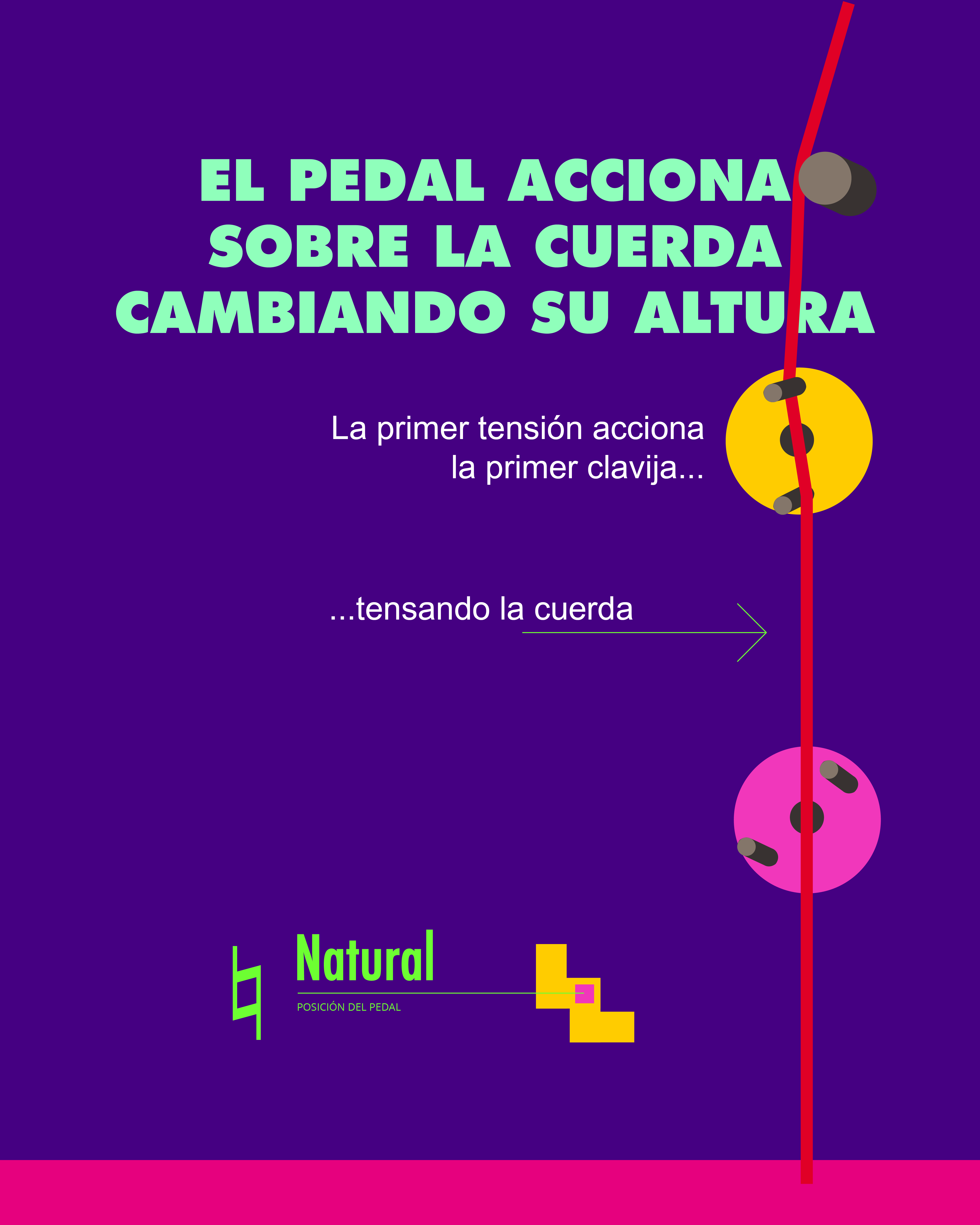 Social Media Design & Content Strategy – Harp Educational Post