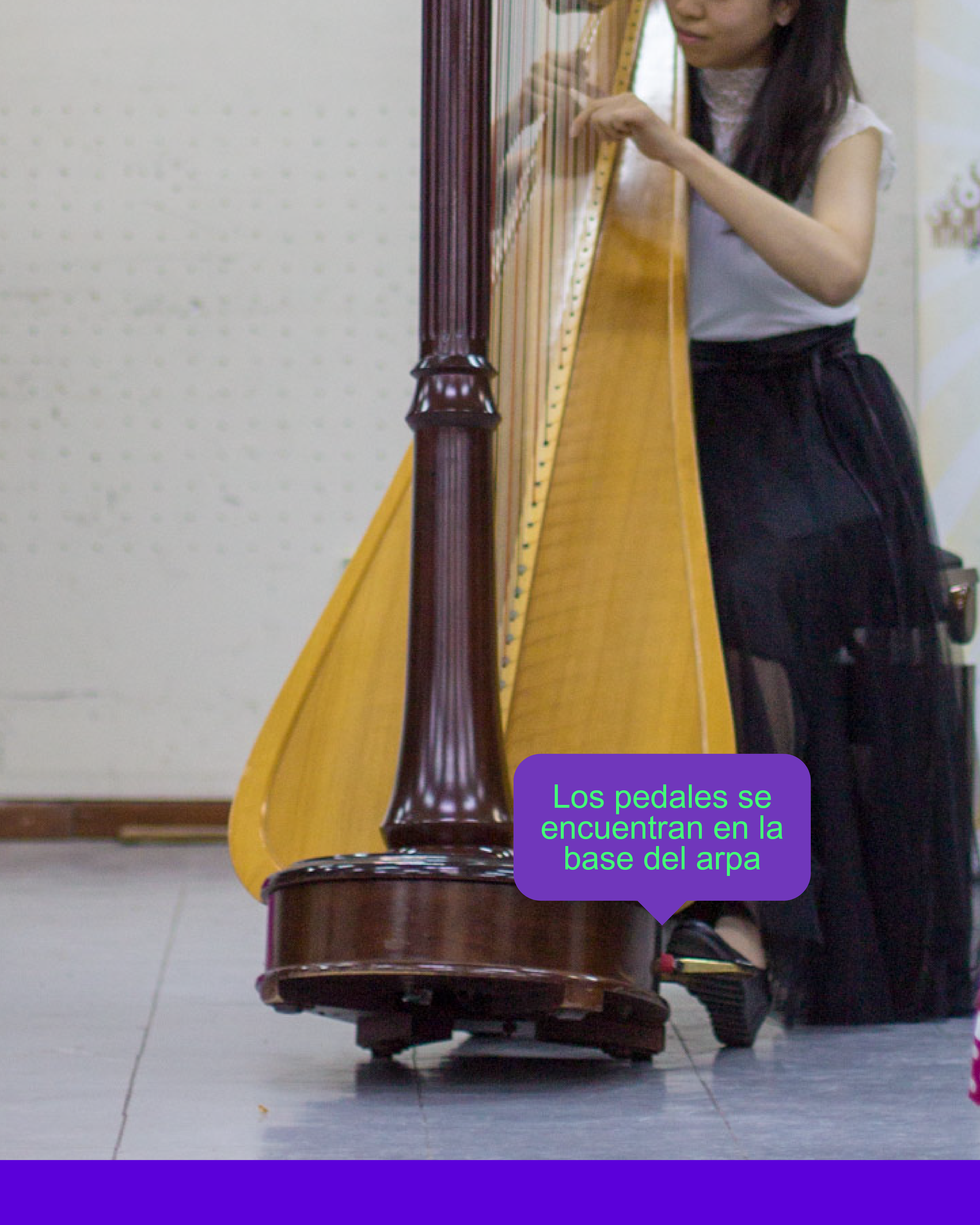 Social Media Design & Content Strategy – Harp Educational Post